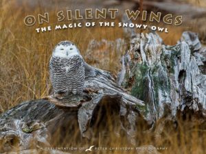 Vance Gilbert to be part of On Silent Wings: The Magic of The Snowy Owl  2.8 @ 2p