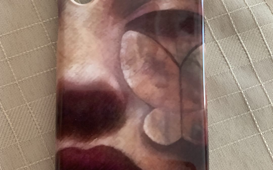 New Vincent Castaldi phone case and bag featuring “Metamorphosis/freedom” Piece